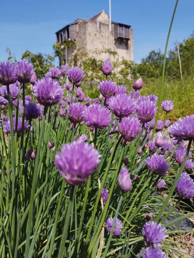 Domaine De La Ferte Clairbois Hotel Sainte-Suzanne  Kültér fotó