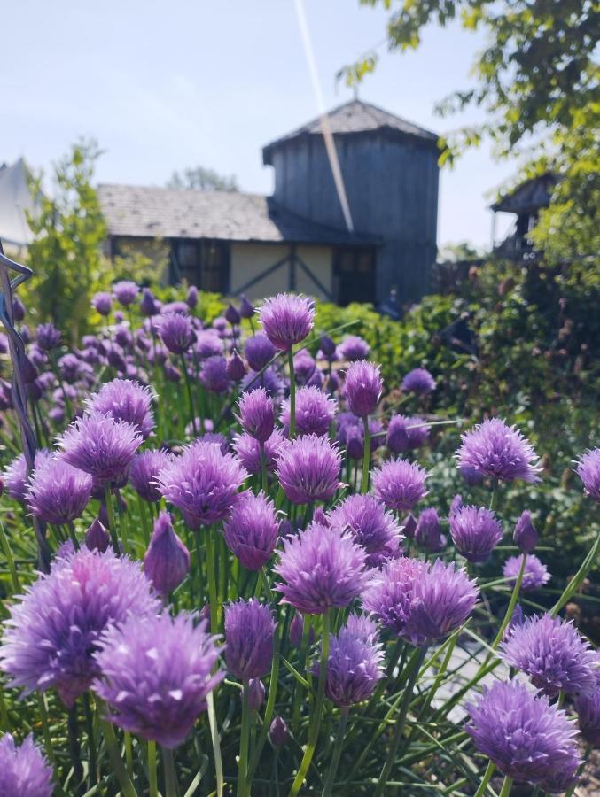 Domaine De La Ferte Clairbois Hotel Sainte-Suzanne  Kültér fotó